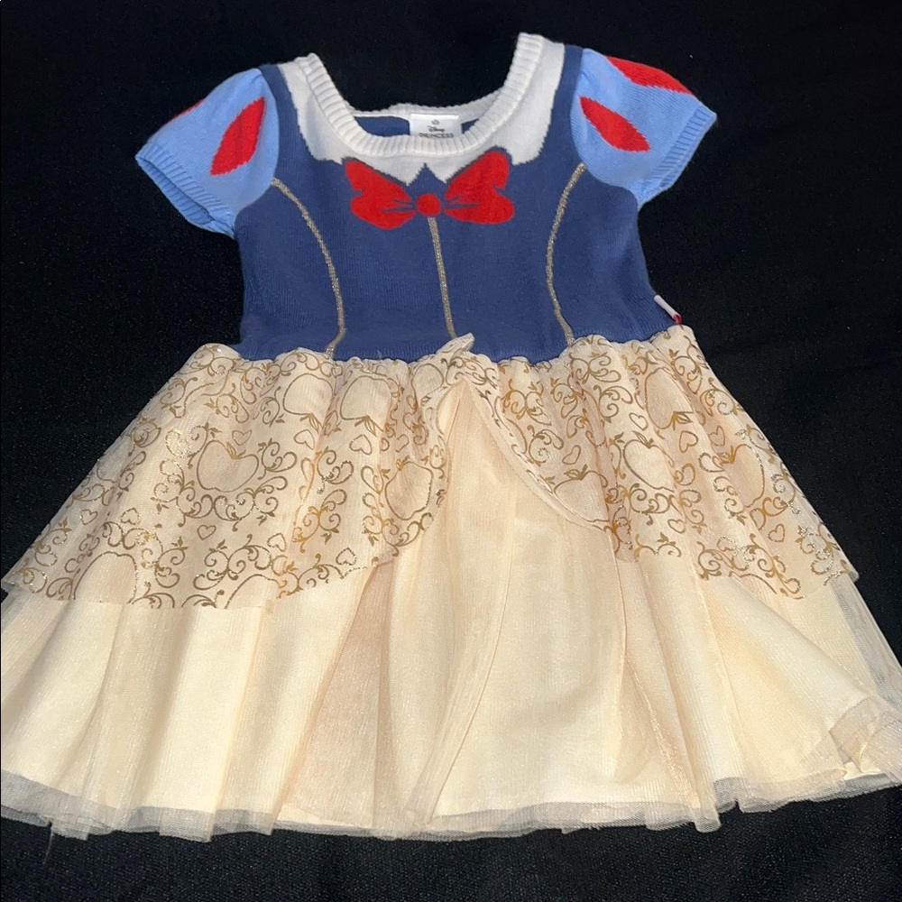 Disney Blue and Cream Princess Costume